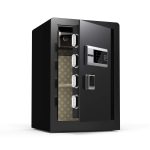 Digital Safe Deposit Box - FH36246MS inside