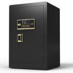 Digital Safe Deposit Box - FH36247LG