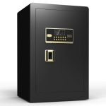 Digital Safe Deposit Box FH36247LG