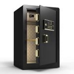 Digital Safe Deposit Box FH36247LG