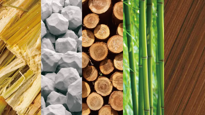 Sustainable & Eco-Friendly Materials